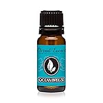 Ocean Breeze Premium Grade Fragrance Oil - 10ml - Scented Oil