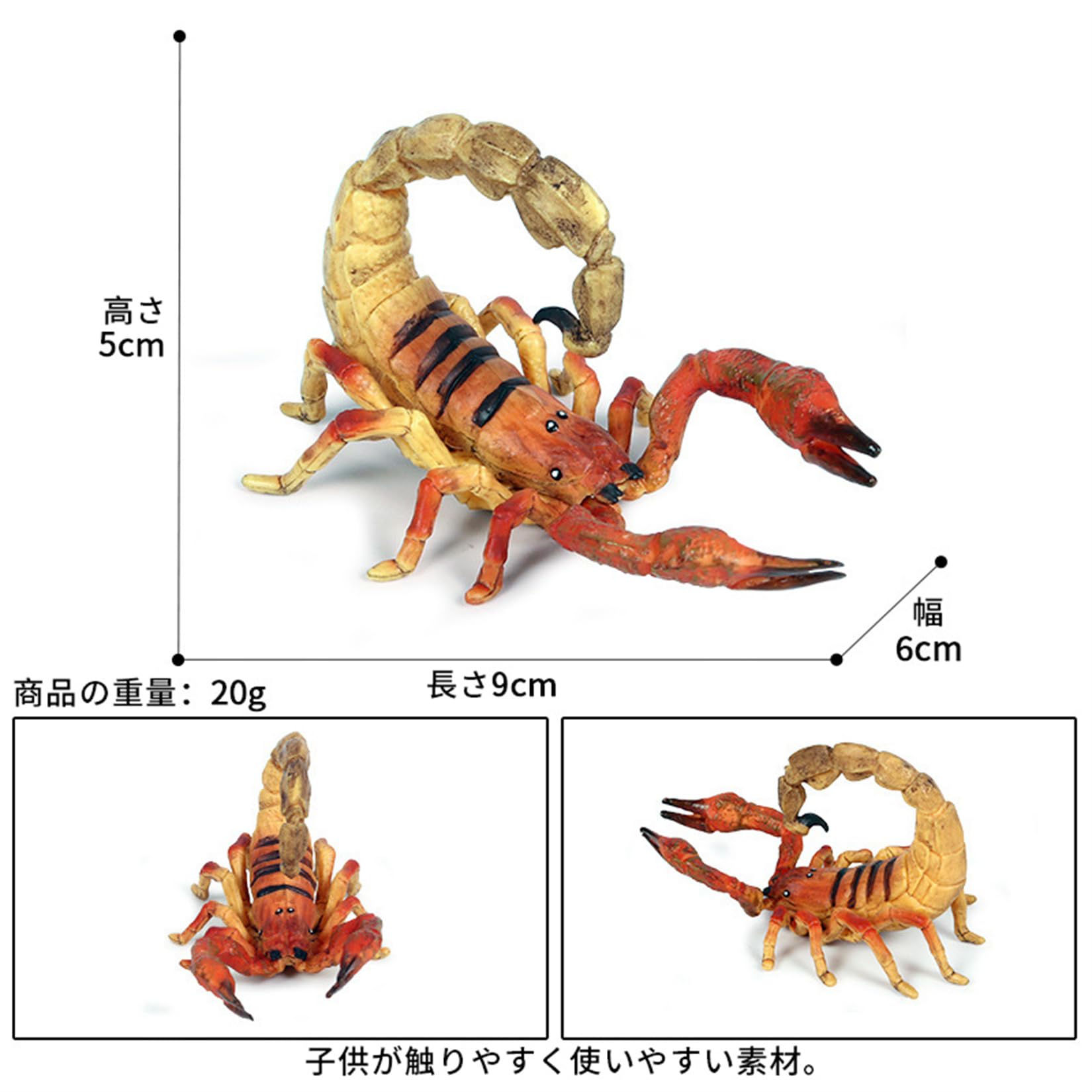 Amazon | EUHELOPA サソリ 鋏角亜門 クモガタ綱 節足動物 おもちゃ