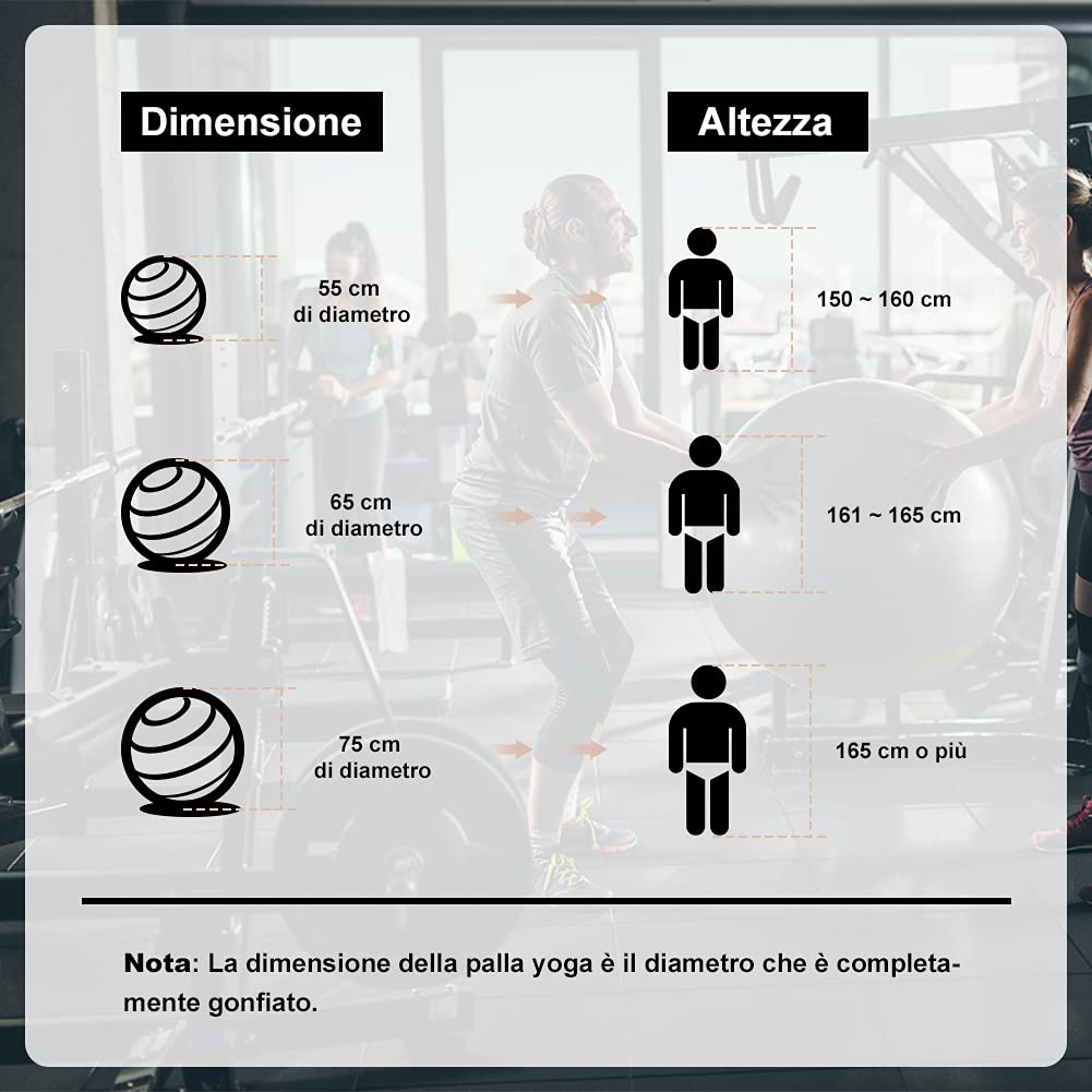 Ballon de Fitness Glymnis 55cm 65cm 75cm Balle d’Exercice Antidérapant 300 kg