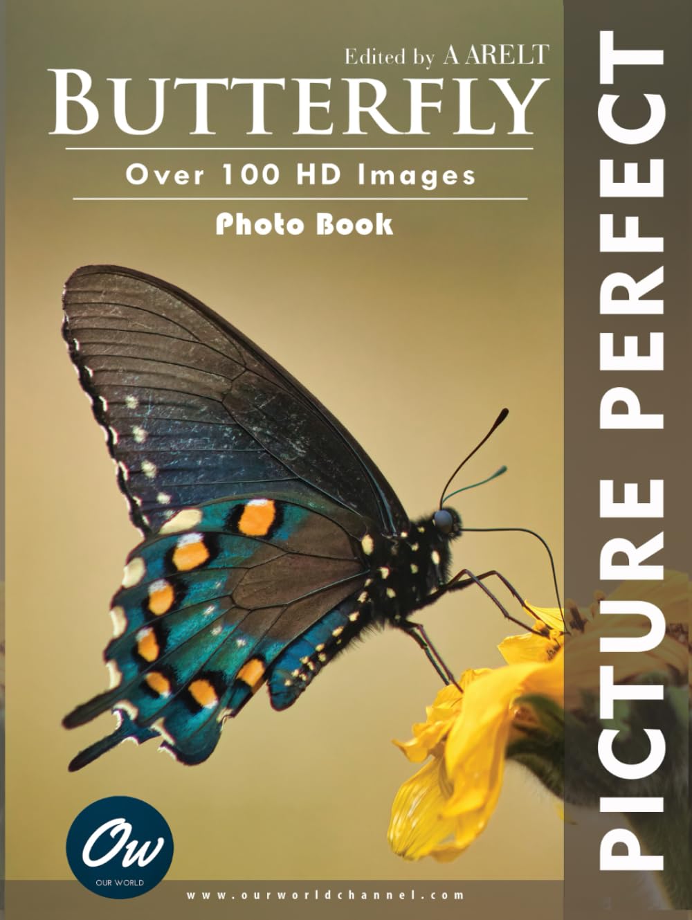 Butterfly: Picture Perfect Photo Book
