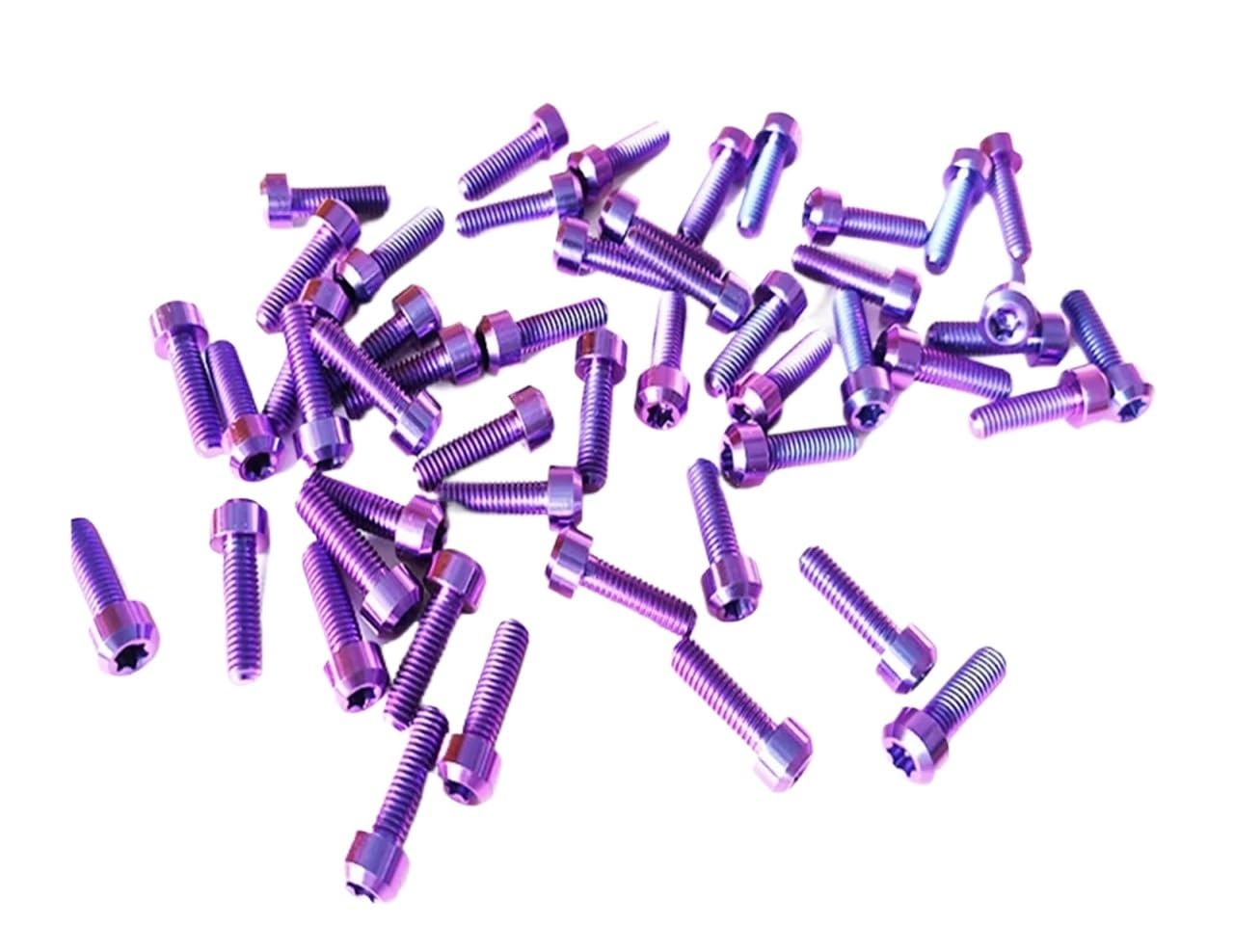 Generico Bulloni in Titanio con Testa Tonda Torx M5/M6/10/15/20/25/30/35/40/50/55/60/80/90/95/100/110/120/130MM Disponibili in Magazzino(M6X110MM_10PCS)