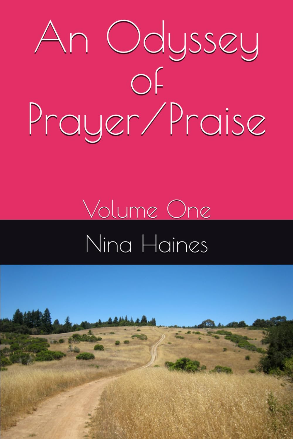 An Odyssey of Prayer/Praise: Devotionals of a Lifetime Journey: Devotionals of a Lifetime Journey