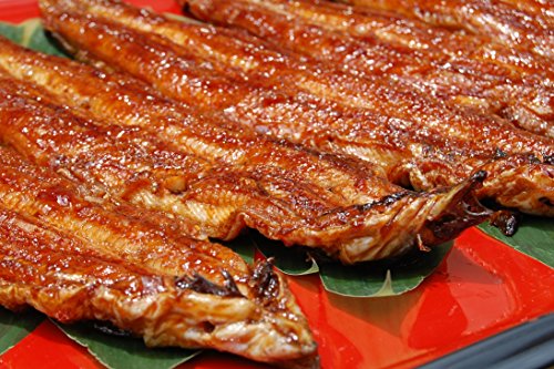 【紀州職人焼】一串づつ丁寧に焼き上げた　国産炭火蒲焼5尾　5本で約10人前