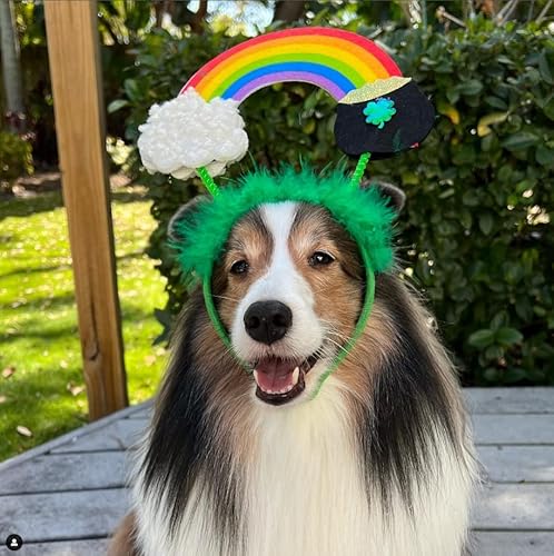 Midlee St. Patrick's Rainbow Pot Of Gold Dog Headband #TOP4