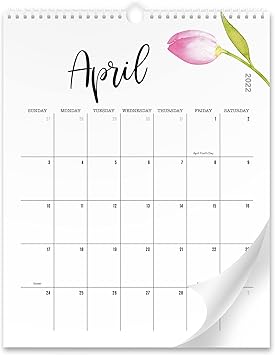 Running 66 Calendrier 2023 Amazon.com : Aesthetic Floral Wall Calendar - Runs From January 2022 Until  July 2023 - The Perfect Monthly Calendar With Seasonal Designs For Easy  Planning : Office Products