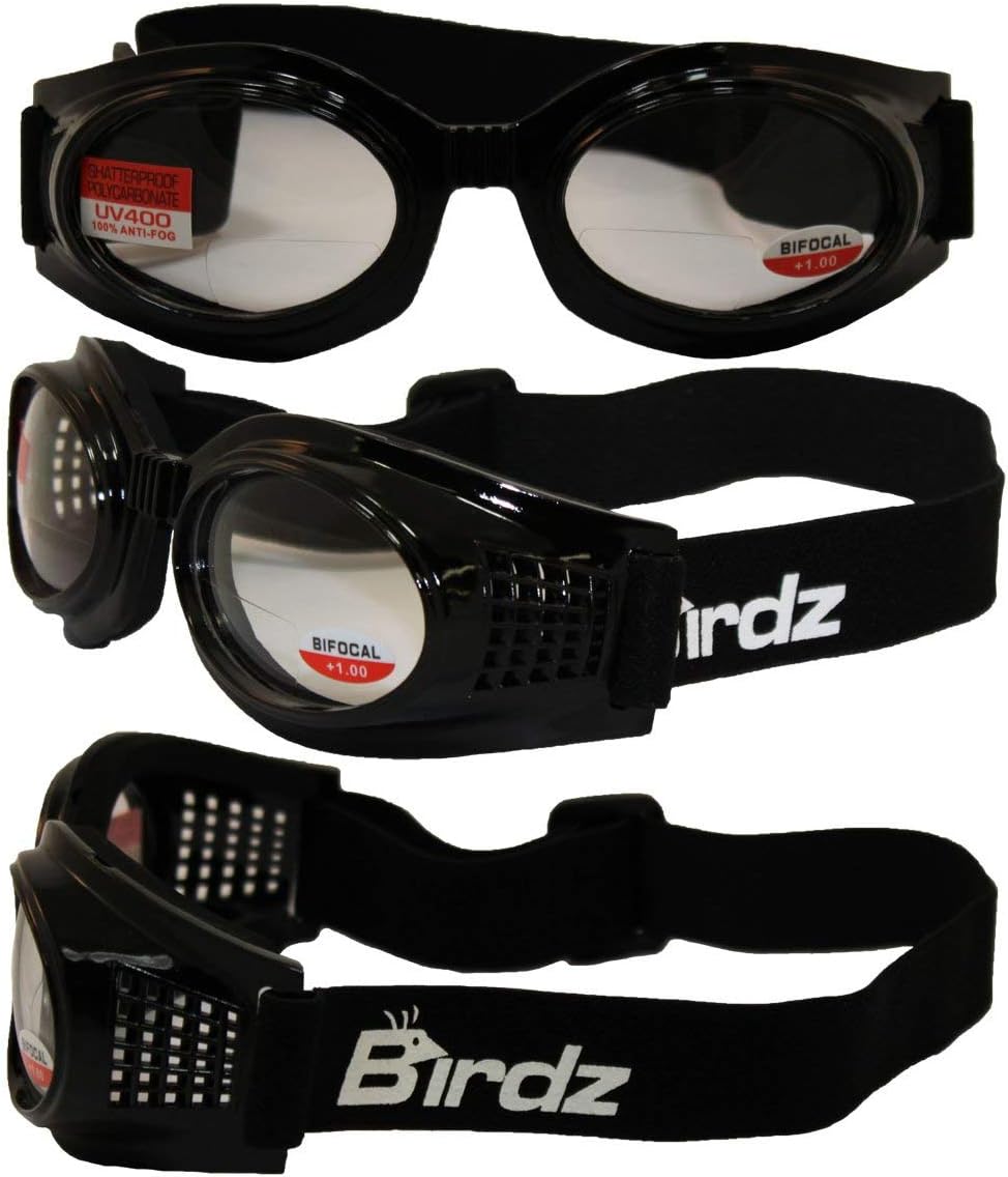 Birdz Eyewear Kite Motorcycle Goggles Bifocal Lens