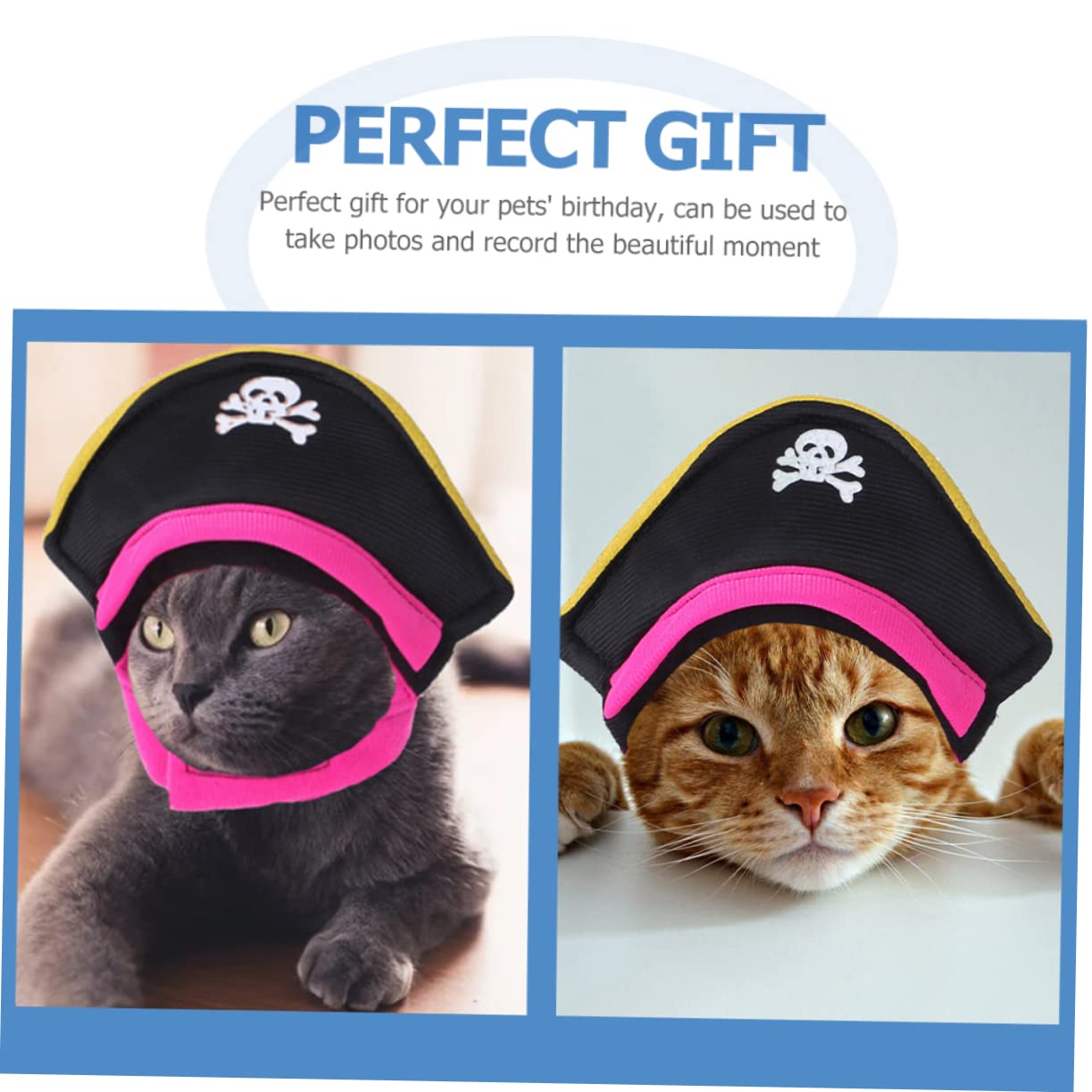 INOOMP 5sets Costume Creativo Per Animali Domestici Con Design Da Pirata Abbigliamento Per Cani e Gatti Resistente Cappello Decorativo Per Festività e Attività All Aperto