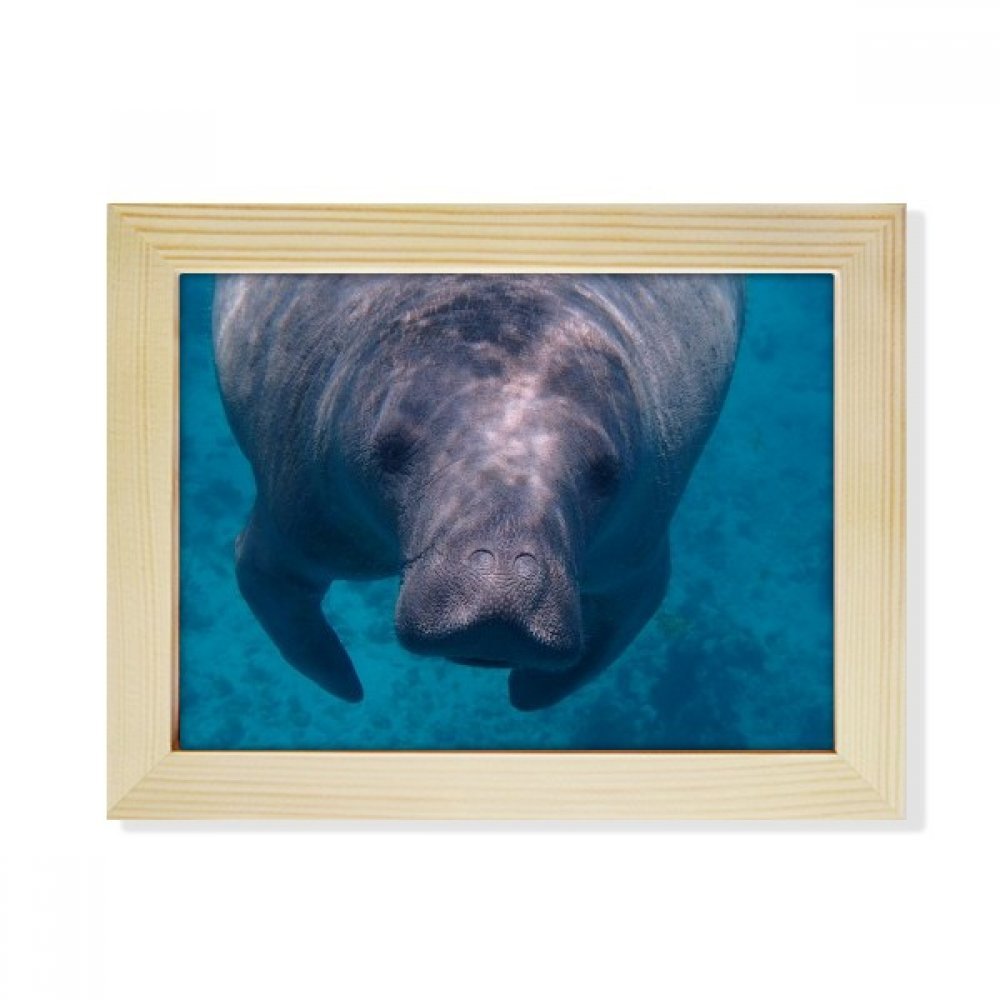 Imagen animal de escritorio marco de madera 6X8 para decorar salas de estudio