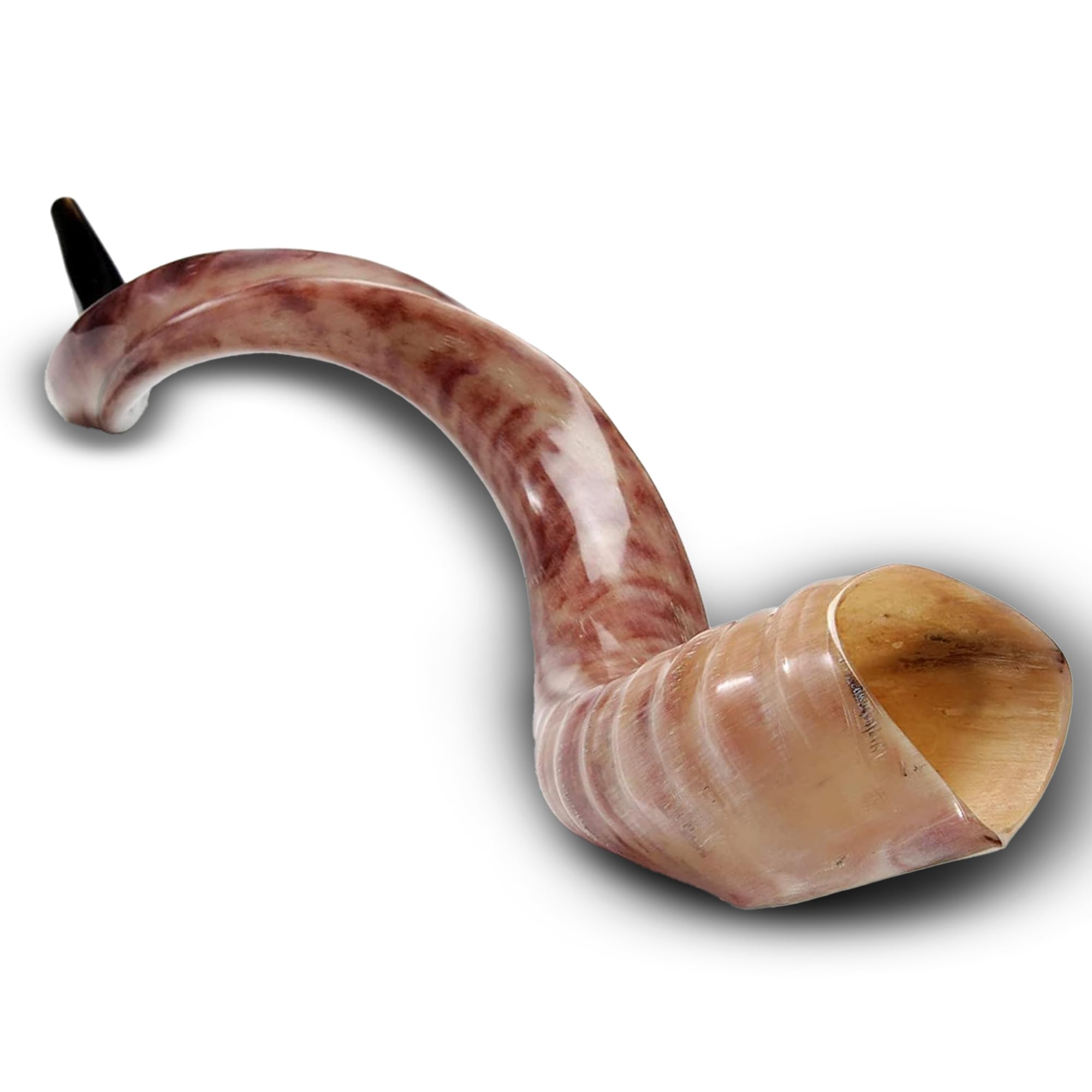 Kosher Factory 40"-43" High Quality Yemenite Shofar Kosher & polish+ Free Bag