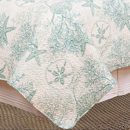 C&F Home Ocean Treasures Blue Starfish Sand Dollar Full/Queen Bed Quilt Set All Seasons Summer Seashell Coral Beach House Reversible Lightweight Coverlet Comforter Nautical Bedroom Bedding Decor - Image 4