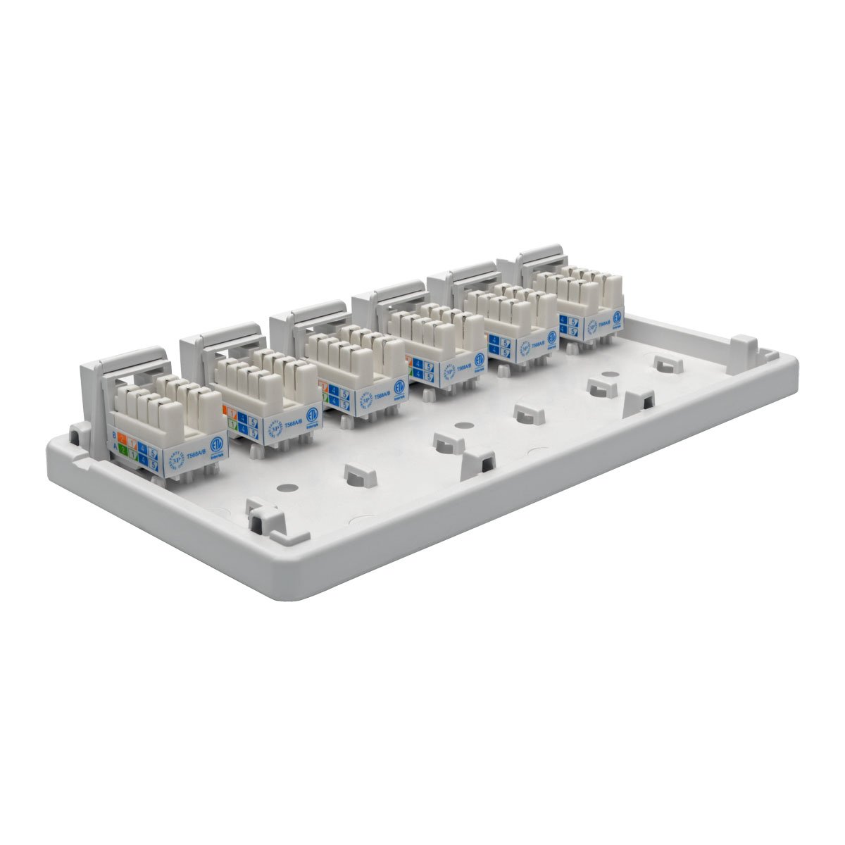 ワンタメ　ボックス Amazon.com: TRIPP LITE Cat6 Surface-Mount Box 6-Port Pre