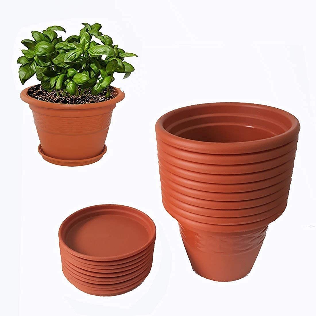 See full amazon price history chart for HEVEA Siti Plast Heavy Duty Durable Plastic Planter Pot, Flower Pot for Home Decoration Indoor &Outdoor, Balcony Gardening,with Matching Bottam Tray Terracotta (10 inch,Pack of 10) HEVEA Siti Plast Heavy Duty Durable Plastic Planter Pot, Flower Pot for Home Decoration Indoor &Outdoor, Balcony Gardening,with Matching Bottam Tray Terracotta (10 inch,Pack of 10) (B0987MZ29C) Amazon Price History, Amazon Price Tracker