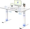 FLEXISPOT Electric Standing Desk BIG MAX 200KG Height-Adjustable One-Piece Desk Dual Motors 3-Stage with USB, 120x60cm (White Frame + White Desktop)