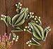 A Set Of 2 Metal Wall Frog Glow In The Dark Indoor Outdoor Accent Decor