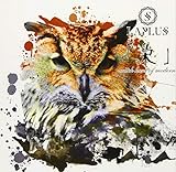 �u���v-witch hunt of modern-