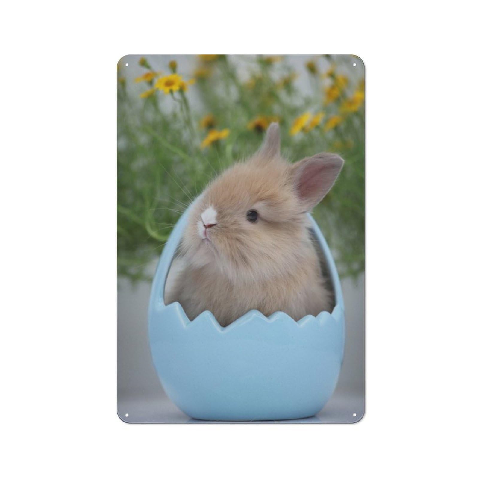 Junmoney Style-18 Metal Wall Sign 30X20cm Featuring Easter Bunny For Hallway Wall, For Hallway Decor Lovers, For Retro Home Interiors