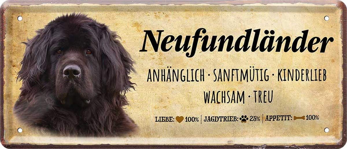 Retro Blechschild "Irish Red Setter Steckbrief" – 28x12 Cm, Witziger Hundespruch, Geschenk-Idee