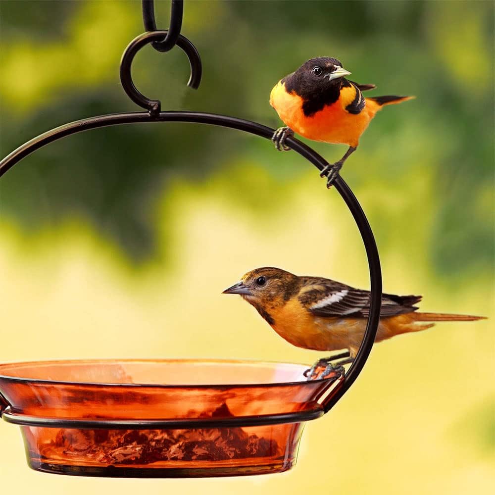 Mosaic Birds Cuban Hanging Bird Bath or Feeder, Recycled Glass Bird Feeders for Outdoors Gardens Artistic Wild Bird Feeders 20.3 oz Capacity, Orange, 1 Piece