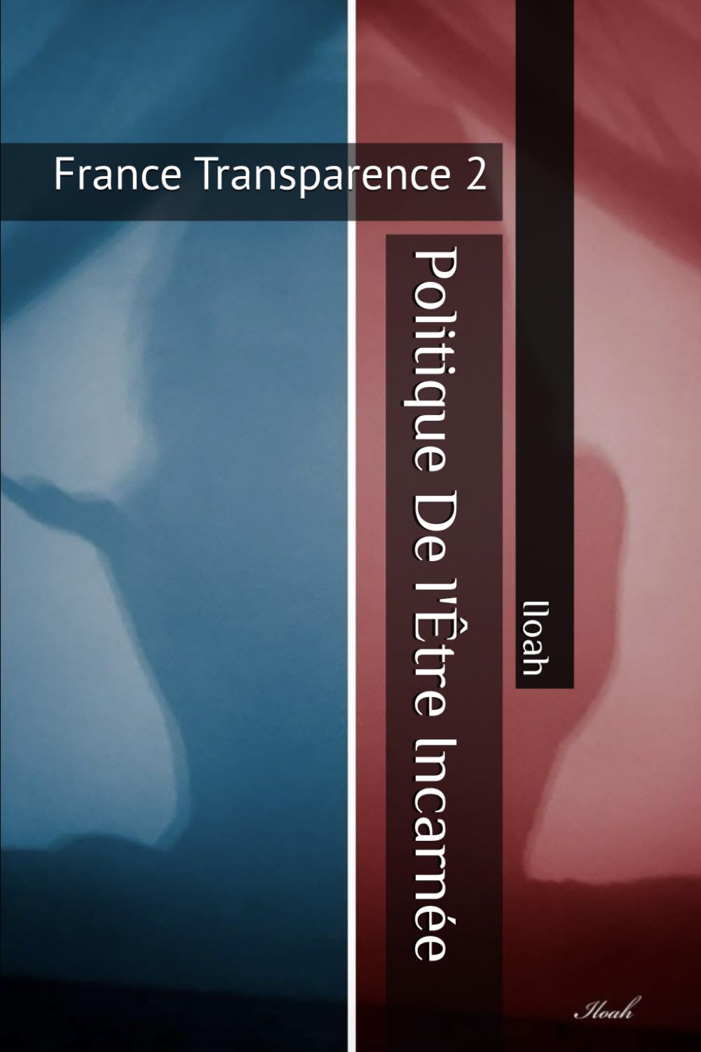 Politique De l'Être Incarnée: France Transparence 2