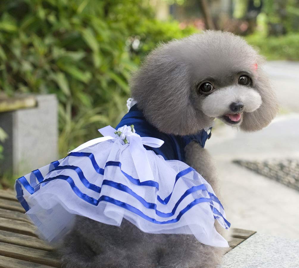 Vestito da principessa a righe per cani di piccola taglia in raso, taglia XL, blu