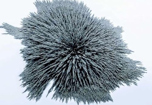 Limalha Ferro Orgonítes Artesanatos, Toroidal, 2,0 Kg