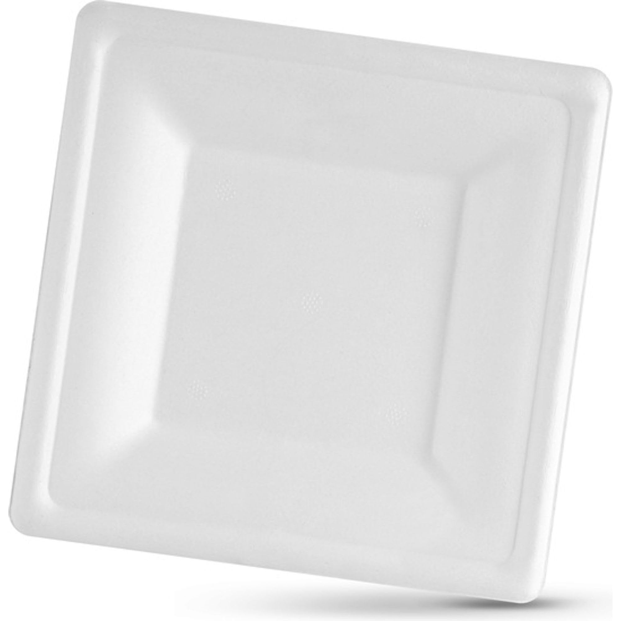 Platos desechables ecológicos de 16 cm: la opción resistente Algon de 300 piezas para tus eventos