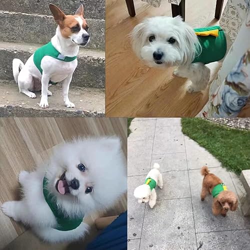 Miniatura 4 de Juego de arnés y correa para perro con forma de dinosaurio, arnés de chaleco verde con cuerda para caminar, chaleco cómodo sin tirones para mascotas