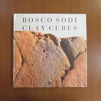 Amazon.co.jp: ボスコソディ 彫刻 作品集□図録 抽象画 美術手帖