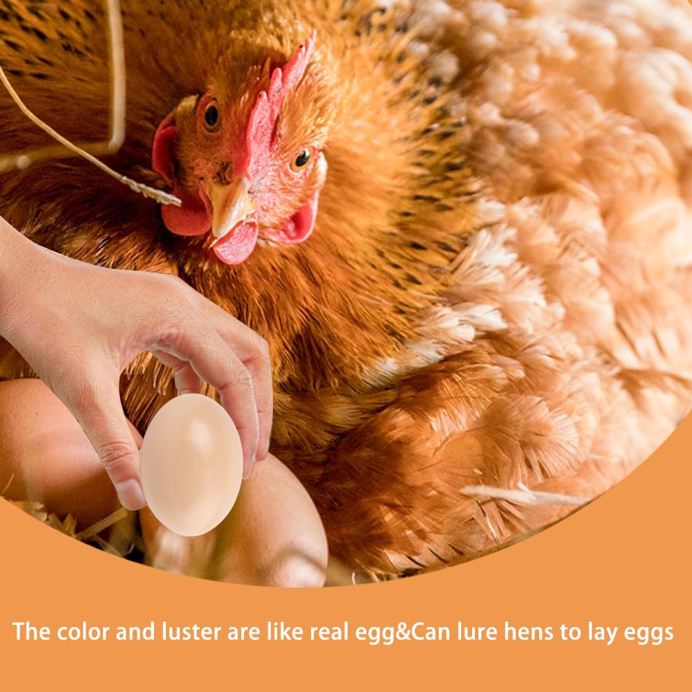Huevos de Madera Falsos para Gallinas, 5 Piezas Huevos Simulados Realistas