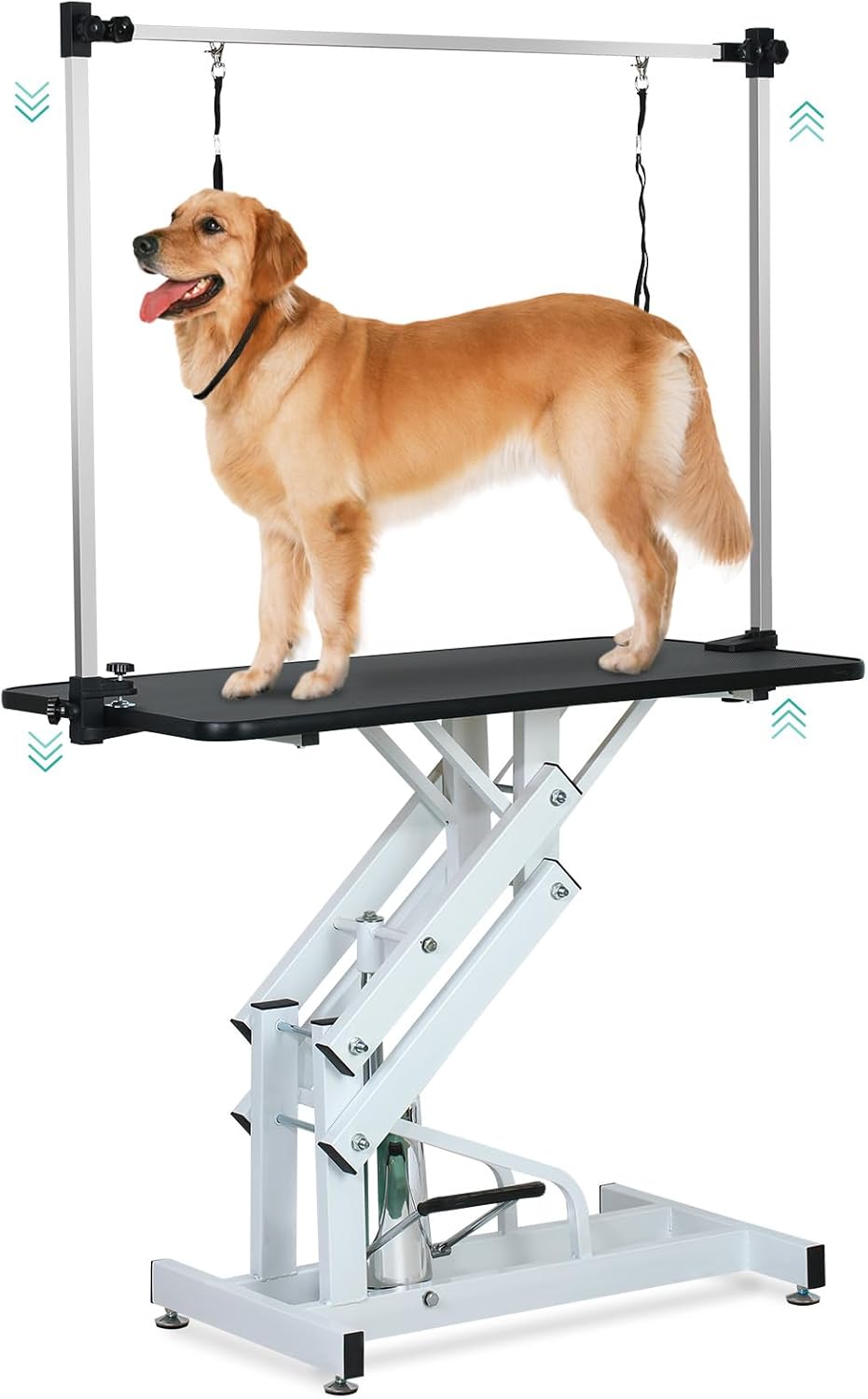 Lyromix Hydraulic Dog Grooming Table for Small/Large Dogs