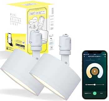 エジソンスマート ミニシーリングライト アーム付き(ダクトレール用　2個　美品 estreominicl2_1.jpg