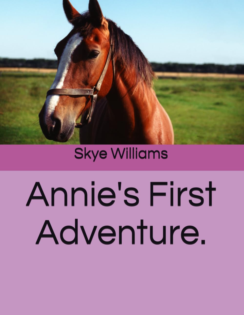 Annie's First Adventure. (Annie's Adventures)