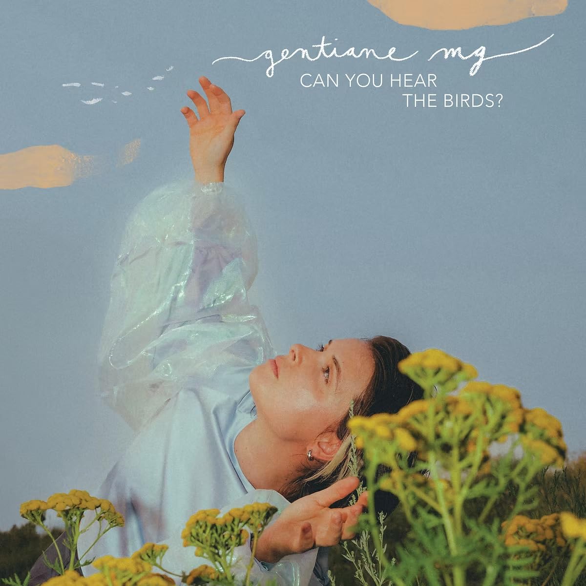 Can You Hear the Birds ?