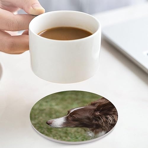 Miniatura 8 de Juego de 4 posavasos de cerámica, posavasos de perro Border Collie de animales, decoración del hogar de granja, posavasos absorbentes con base de