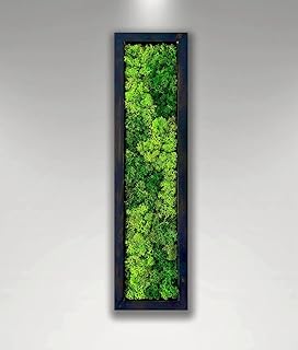 Moss Pattern Wall Art - Real Moss, Zero Maintenance - Eco-Friendly Natur...