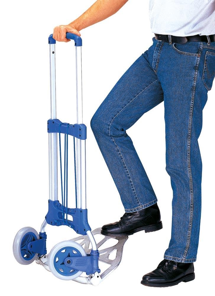 Fetra 1732 - Carrello portapacchi, portata fino a 125 Kg, 1090 x 488 x 500 mm, peso 5,2 Kg, blu