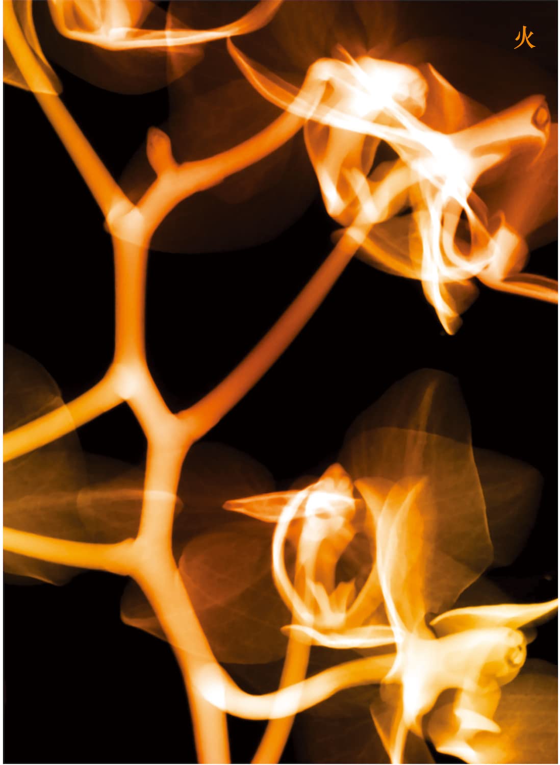 I Burn (Fire Version)