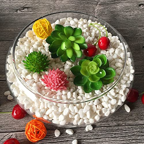 Operitacx 6 Inch Clear Glass Fish Bowl Aquarium Jar Hydroponic Vase for Succulents Indoor Plant Terrarium Planter Decorative Home Garden Wedding - Image 2