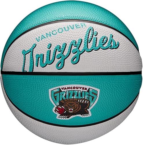 Wilson Mini Basketball Team Retro, Charlotte Hornets