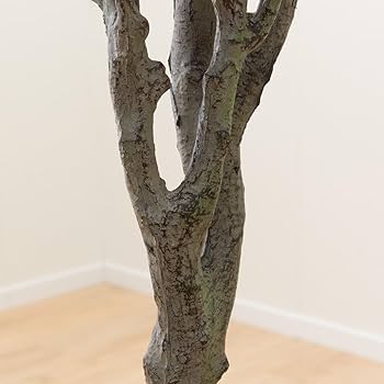 Amazon｜ニトリ フェイクグリーン オリーブツリー OS1807-6-1788