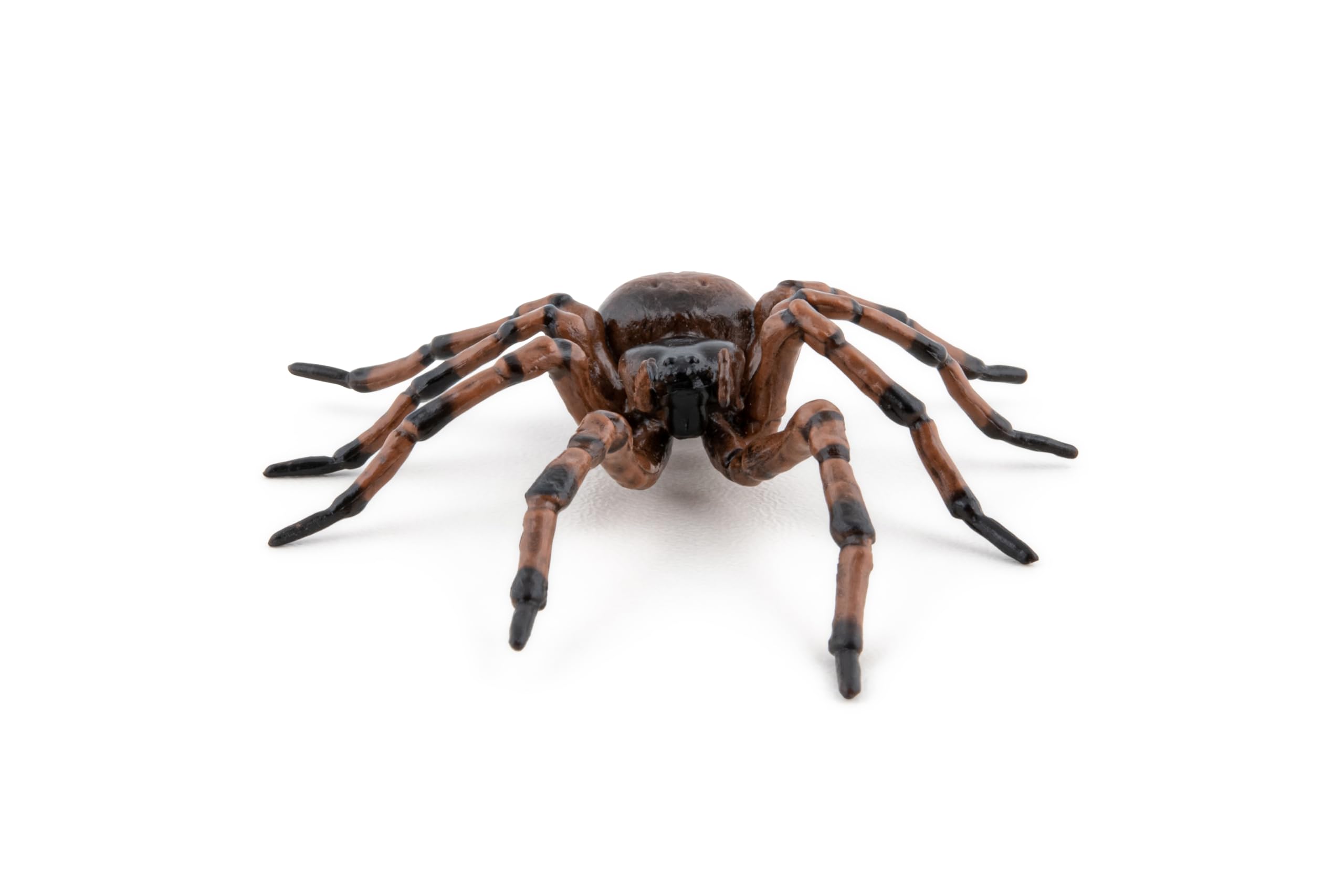 Papo - Realistic Spider Figure - Ages 3+ - Garden Animals Collection - Educational Play Insects - Gift Idea Toy for Girls and Boys - Image 2
