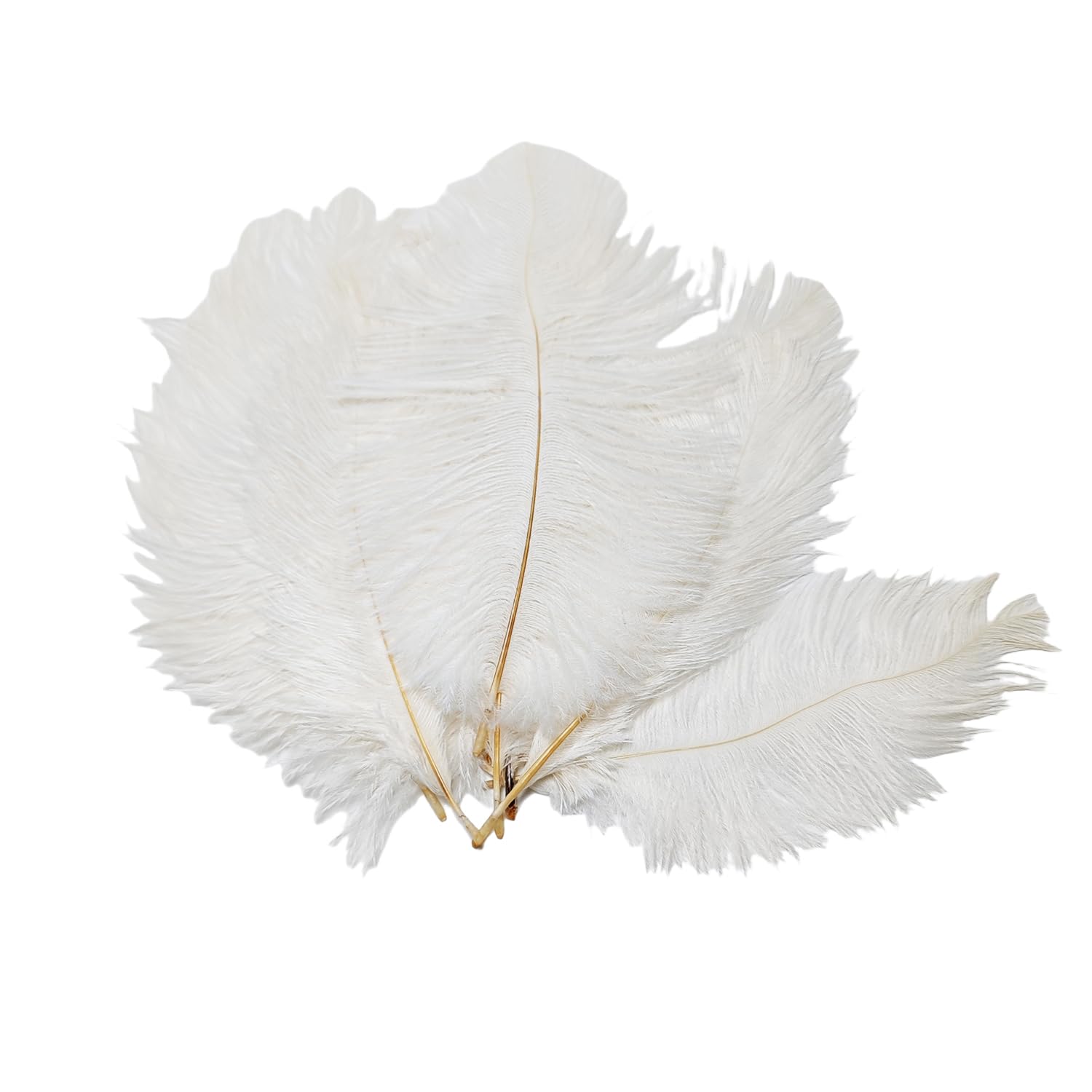 Elandy White 50Pcs 6-8Inch Small Size Fullness Natural Ostrich Feathers Diy Craft Feather Home Decor For Wedding Sewing Crafts Costumes Decoration