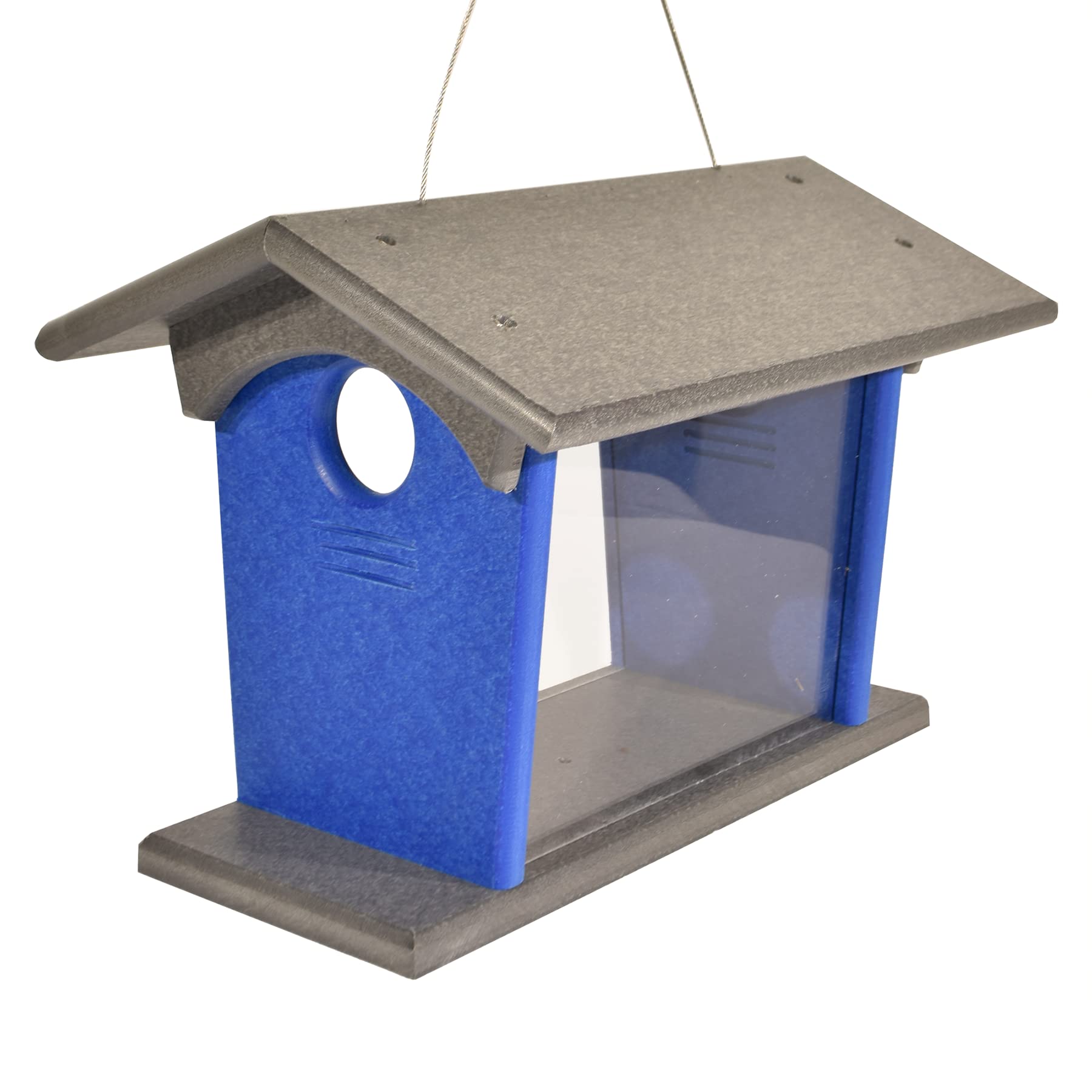 10 Best Bluebird Feeders for Mealworms Top Picks Hummingbirds Plus