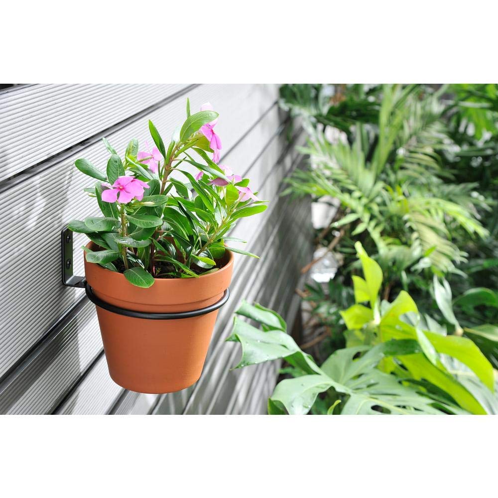 Shiyon Iron Hanging Wall Mounted Ring Shape Plant Stand ( Black , 18 X 18 X 7 cm )- Set of 4 (B08R1ZZQK1) Amazon Price History, Amazon Price Tracker