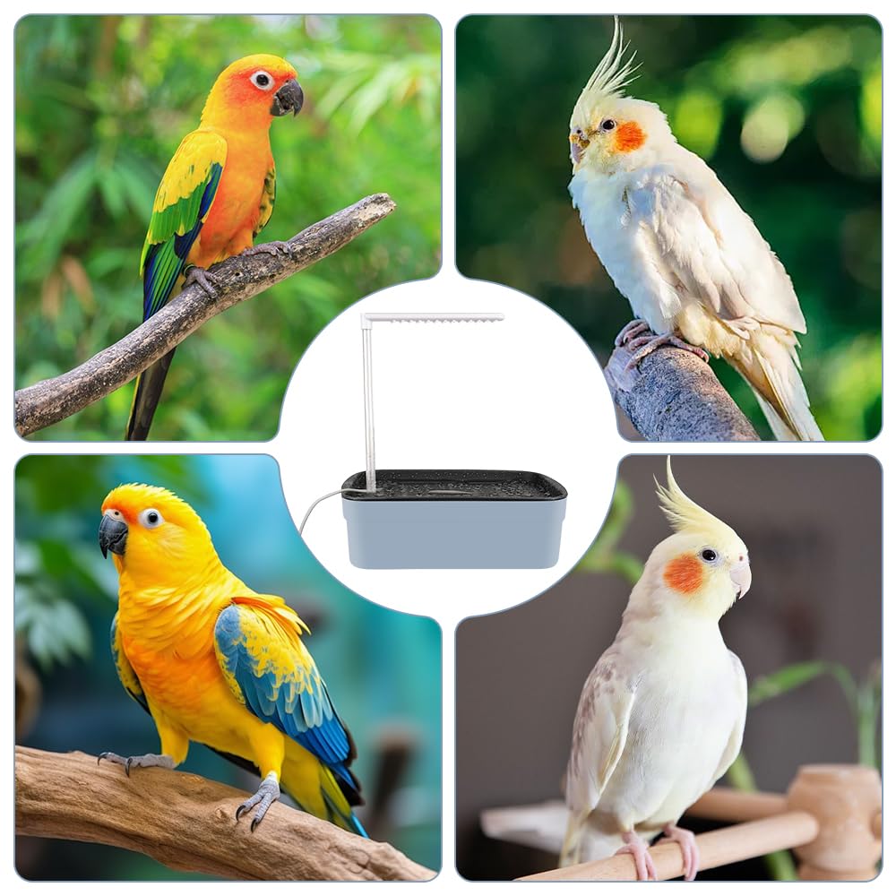 Vogeldusche Wellensittich, Automatische Vogel Dusche mit Pumpe, Vogelbad mit Wasserkreislauf und Mehreren Wasserhähnen, Vogel Badehaus Badewanne für Wellensittiche, Sittiche (Grau)