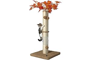 Mecool 34" Tall Cat Scratching Post: A Sensory Sanctuary for Your Feline Friend