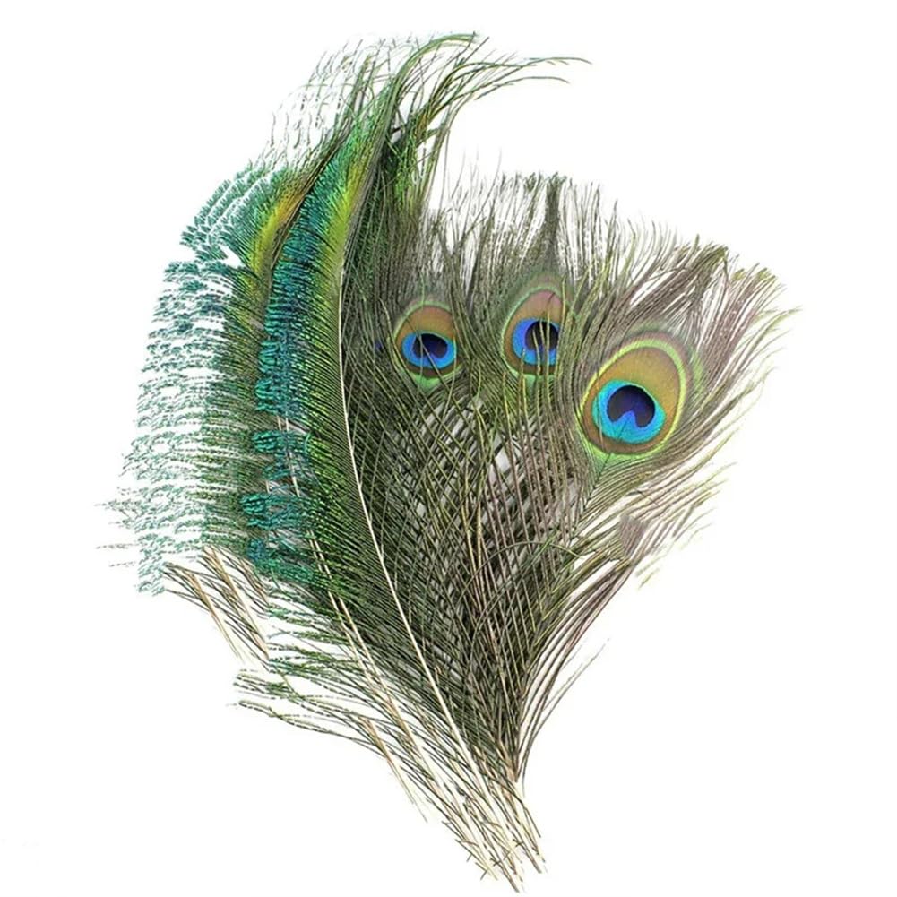 Natural Pheasant Feathers, Natural Peacock Feathers 20 pcs, Holiday Wedding DIY Vases Decor, Color(Peacock Eyes Ling)