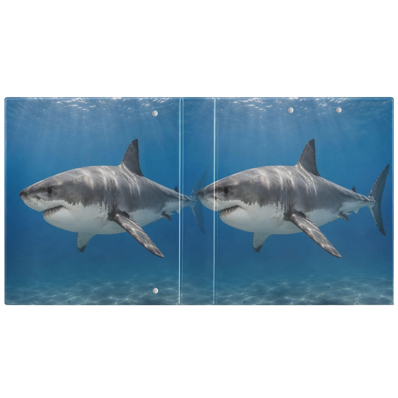 Raccoglitore a 3 anelli con squalo marino profondo da 3,8 cm, contiene 200 fogli, 3 raccoglitori ad anelli con clip in metallo antiscivolo