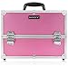 SHANY Essential Pro Makeup Train Case Cosmetic Box Portable Makeup Case Cosmetics Beauty Organizer Jewelry storage with Locks, Multi Compartments Makeup Box and Shoulder Strap - Pink