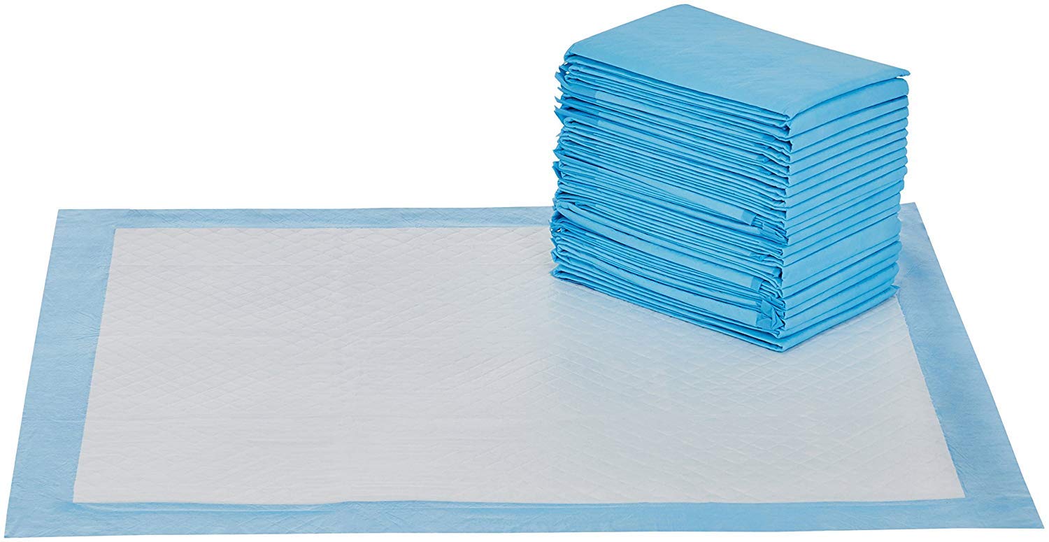 Hygenic Heavy Duty Pet and Puppy Training Pads (XL, 10) (B081F4CF52) Amazon Price History, Amazon Price Tracker